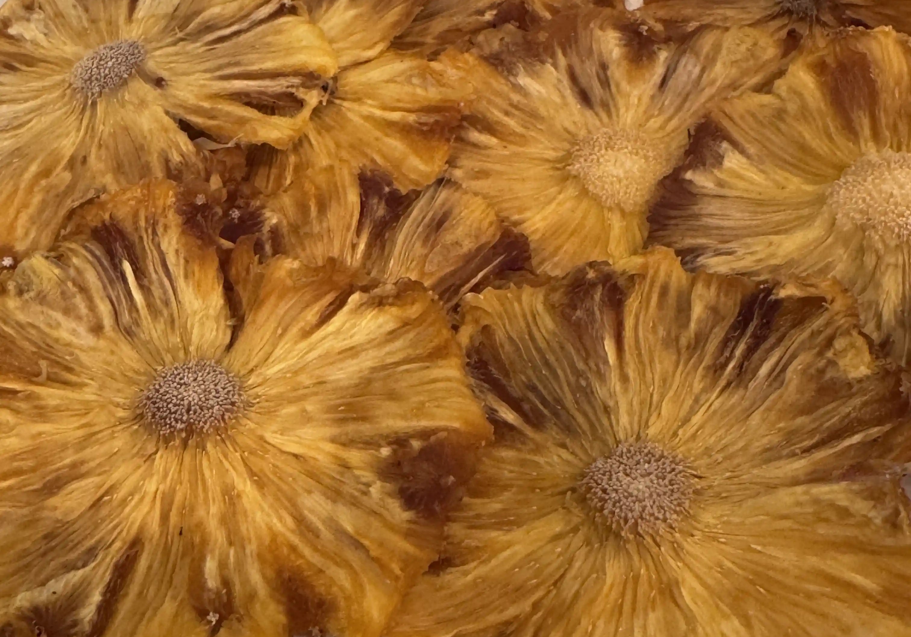 The Ultimate Oven-Dried Pineapple Snack Guide
