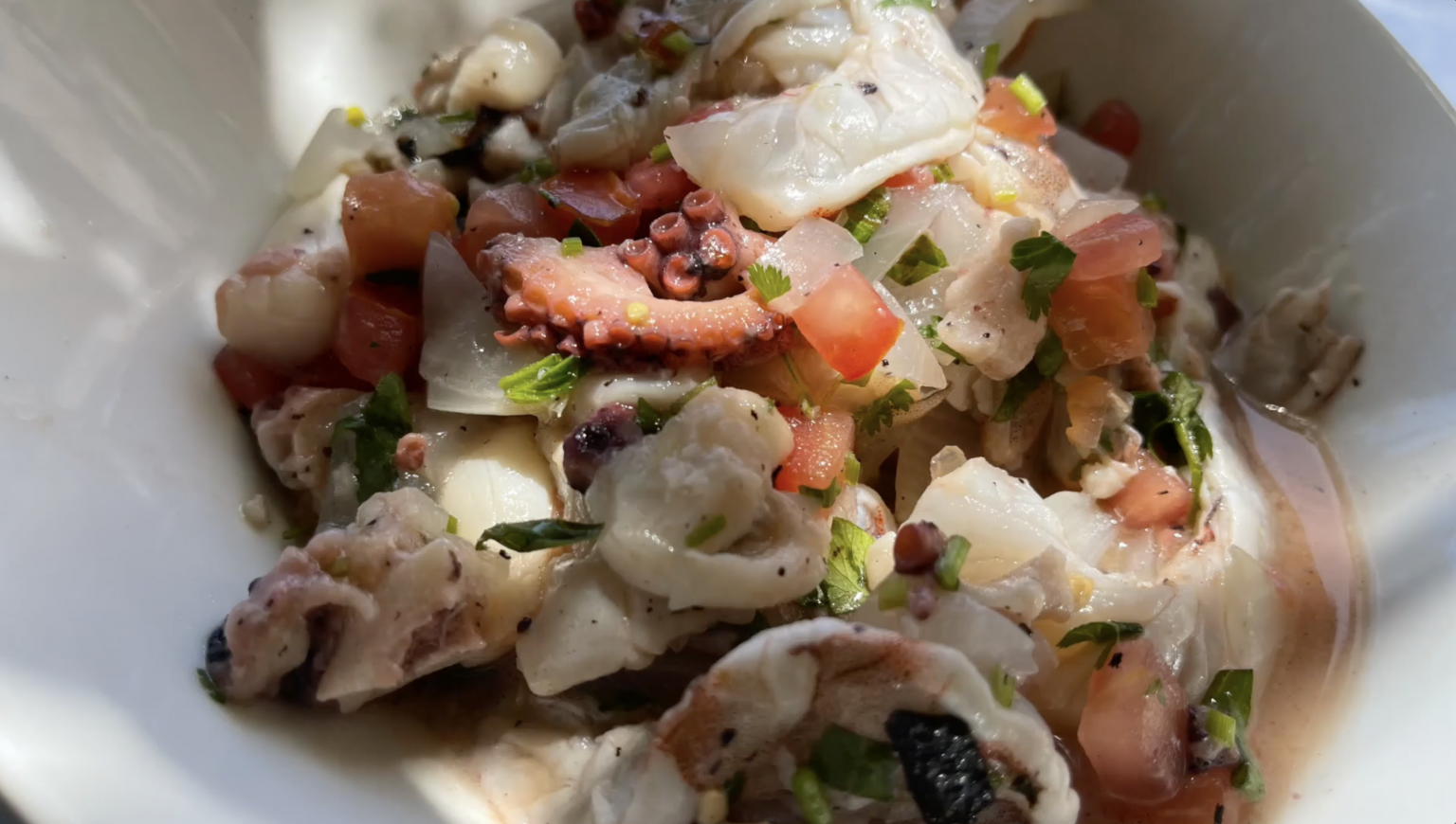 THE BEST SEAFOOD CEVICHE' FROM CABO SAN LUCAS – Dads That Cook