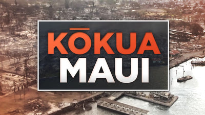 How to Support Maui and Where to Donate