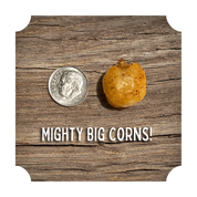 CRUNCHIN' CORN - VARIETY PACK